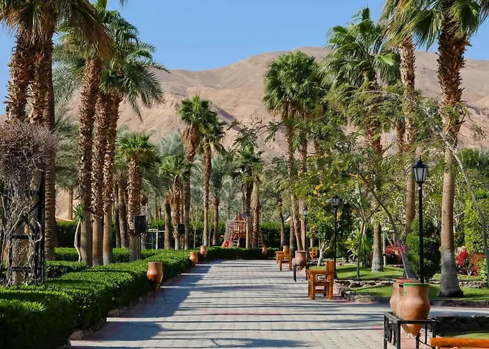 Steigenberger & Nelson Village, 5* Taba