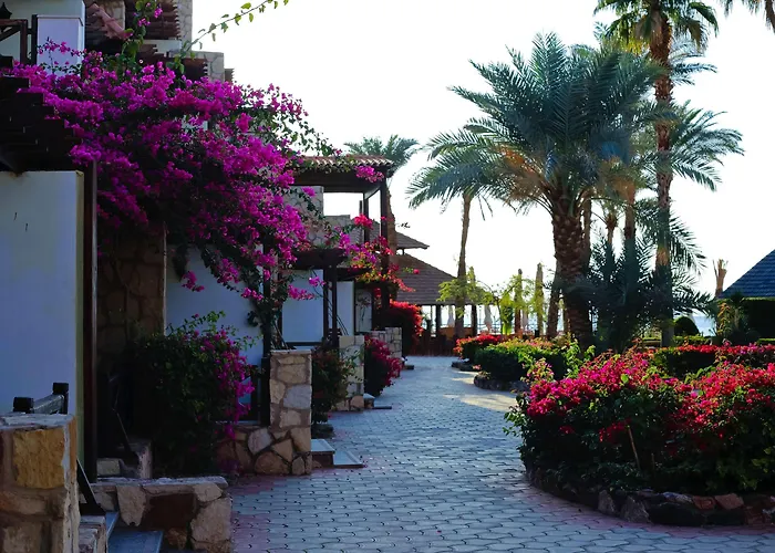 Resort Steigenberger & Nelson Village, 5*